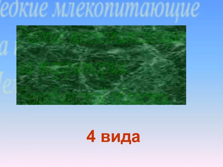 Редкие млекопитающие на территории Челябинской области. 4 вида