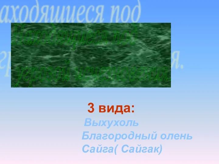 Находящиеся под угрозой исчезновения. 3 вида: Выхухоль Благородный олень Сайга( Сайгак)