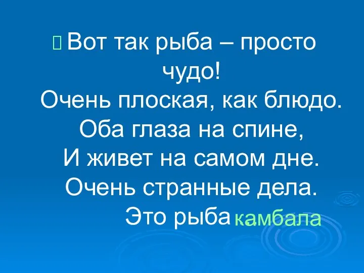 Вот так рыба – просто чудо! Очень плоская, как блюдо. Оба