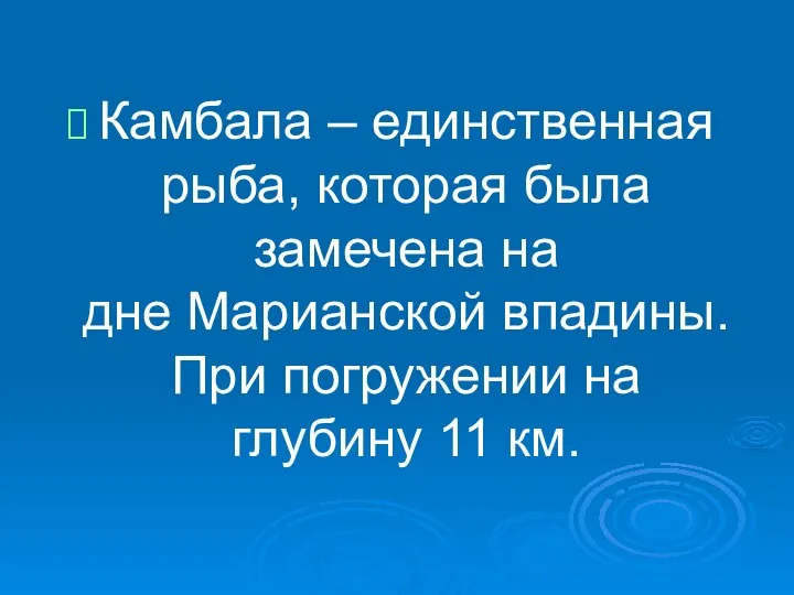 Камбала – единственная рыба, которая была замечена на дне Марианской впадины.