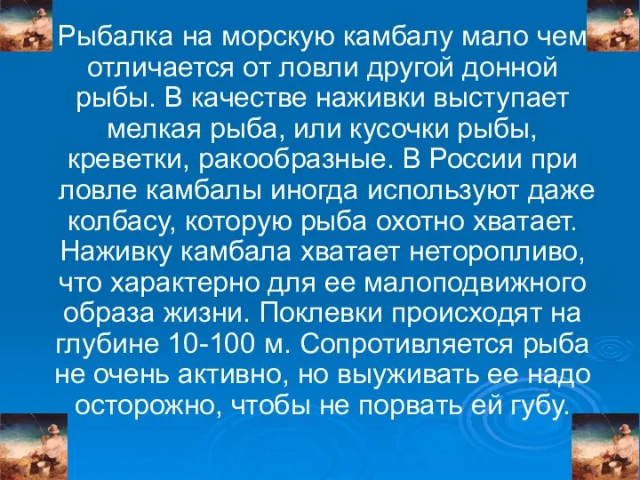 Рыбалка на морскую камбалу мало чем отличается от ловли другой донной