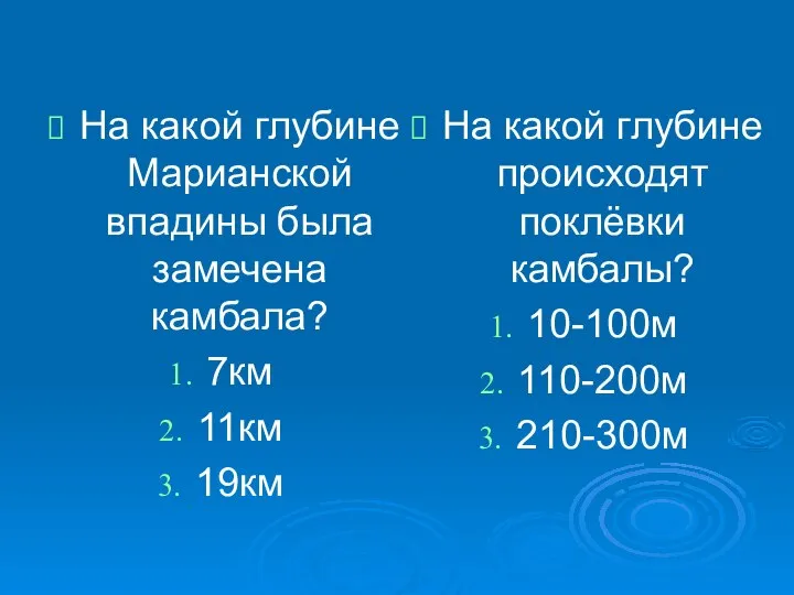 На какой глубине Марианской впадины была замечена камбала? 7км 11км 19км