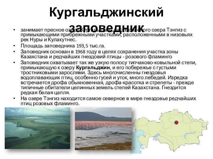 Кургальджинский заповедник занимает пресное озеро Кургальджин, часть соленого озера Тэнгиз с