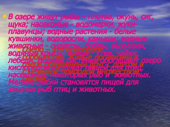 Озеро – это природное сообщество. Живые организмы в озере объединены друг