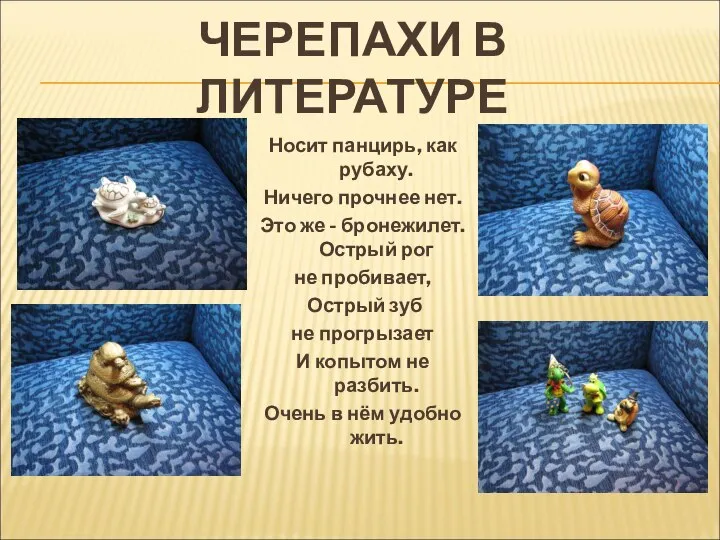 ЧЕРЕПАХИ В ЛИТЕРАТУРЕ Носит панцирь, как рубаху. Ничего прочнее нет. Это