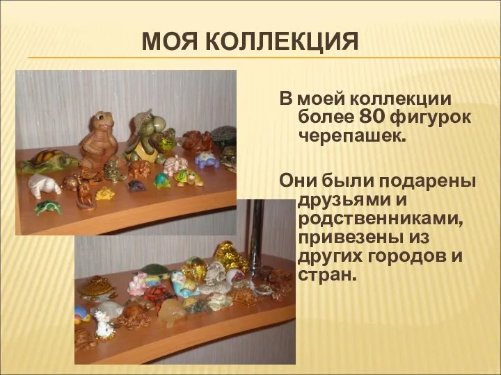 МОЯ КОЛЛЕКЦИЯ В моей коллекции более 80 фигурок черепашек. Они были