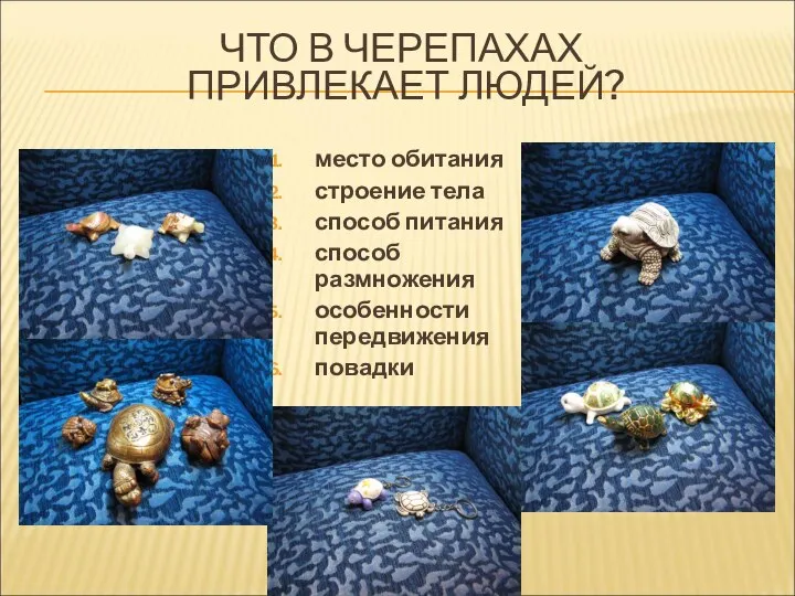 ЧТО В ЧЕРЕПАХАХ ПРИВЛЕКАЕТ ЛЮДЕЙ? место обитания строение тела способ питания способ размножения особенности передвижения повадки