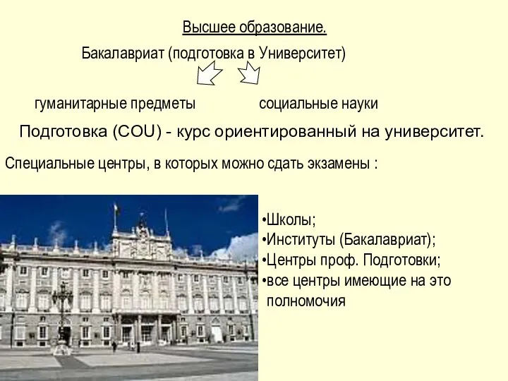 Высшее образование. Бакалавриат (подготовка в Университет) гуманитарные предметы социальные науки Подготовка