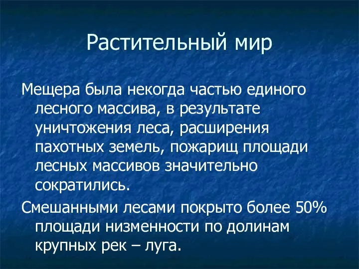 Растительный мир Мещера была некогда частью единого лесного массива, в результате