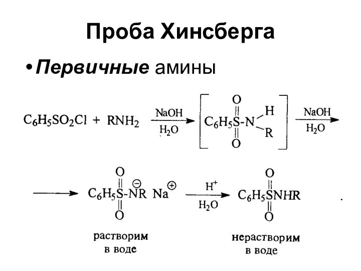 Проба Хинсберга Первичные амины