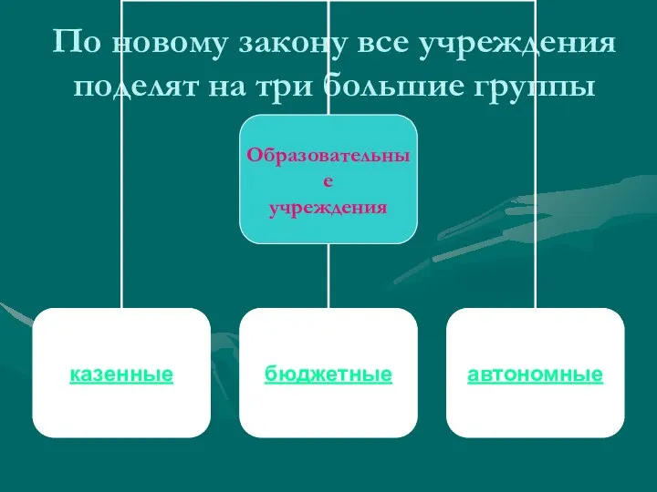 По новому закону все учреждения поделят на три большие группы