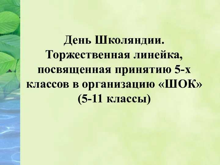 День Школяндии. Торжественная линейка, посвященная принятию 5-х классов в организацию «ШОК» (5-11 классы)