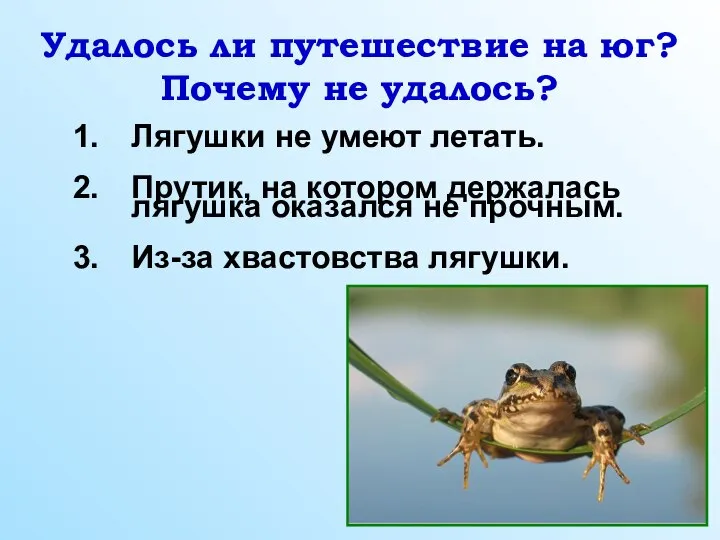 Удалось ли путешествие на юг? Почему не удалось? Лягушки не умеют