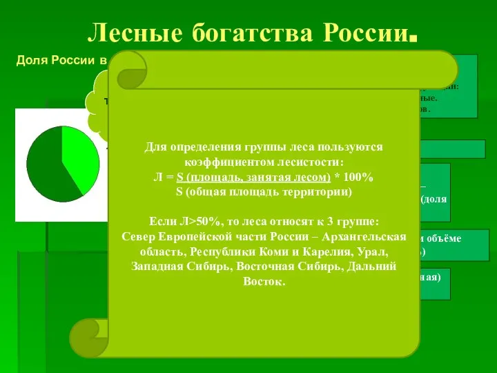 Лесные богатства России. 45% территории занято лесами Доля России в мире