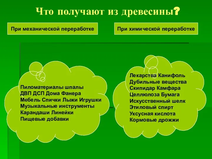 Что получают из древесины? При механической переработке При химической переработке Пиломатериалы