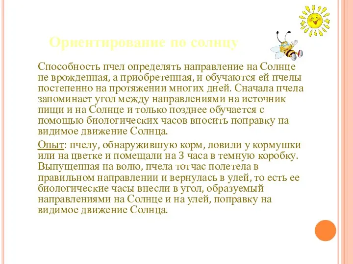 Ориентирование по солнцу Способность пчел определять направление на Солнце не врожденная,