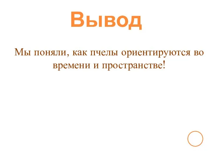 Вывод Мы поняли, как пчелы ориентируются во времени и пространстве!