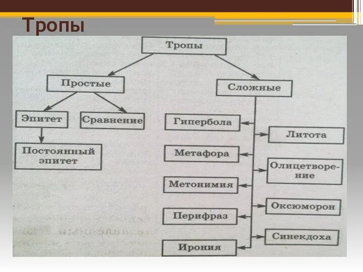 Тропы