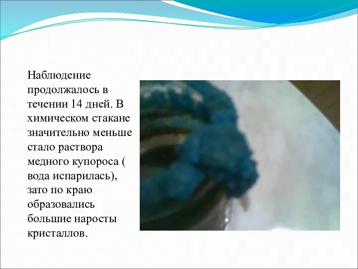 Наблюдение продолжалось в течении 14 дней. В химическом стакане значительно меньше