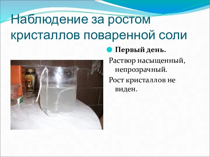 Наблюдение за ростом кристаллов поваренной соли Первый день. Раствор насыщенный, непрозрачный. Рост кристаллов не виден.