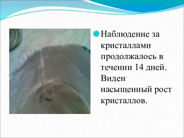 Наблюдение за кристаллами продолжалось в течении 14 дней. Виден насыщенный рост кристаллов.