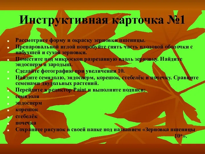 Инструктивная карточка №1 Рассмотрите форму и окраску зерновки пшеницы. Препаровальной иглой