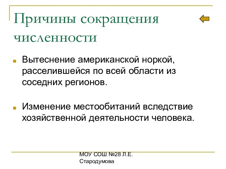 МОУ СОШ №28 Л.Е.Стародумова Причины сокращения численности Вытеснение американской норкой, расселившейся