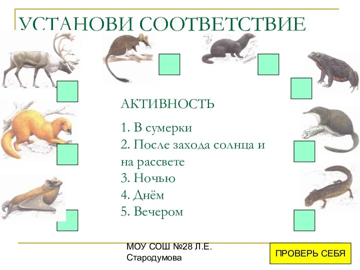 МОУ СОШ №28 Л.Е.Стародумова УСТАНОВИ СООТВЕТСТВИЕ АКТИВНОСТЬ 1. В сумерки 2.