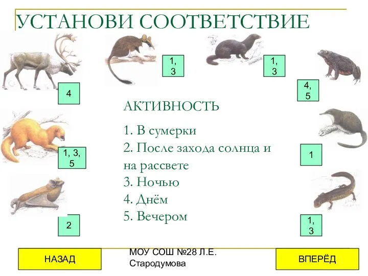 МОУ СОШ №28 Л.Е.Стародумова УСТАНОВИ СООТВЕТСТВИЕ 4 1, 3 1, 3