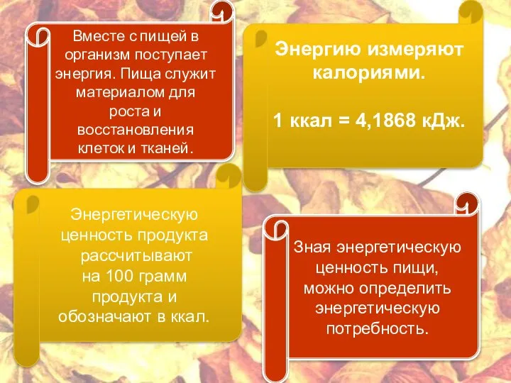 Вместе с пищей в организм поступает энергия. Пища служит материалом для