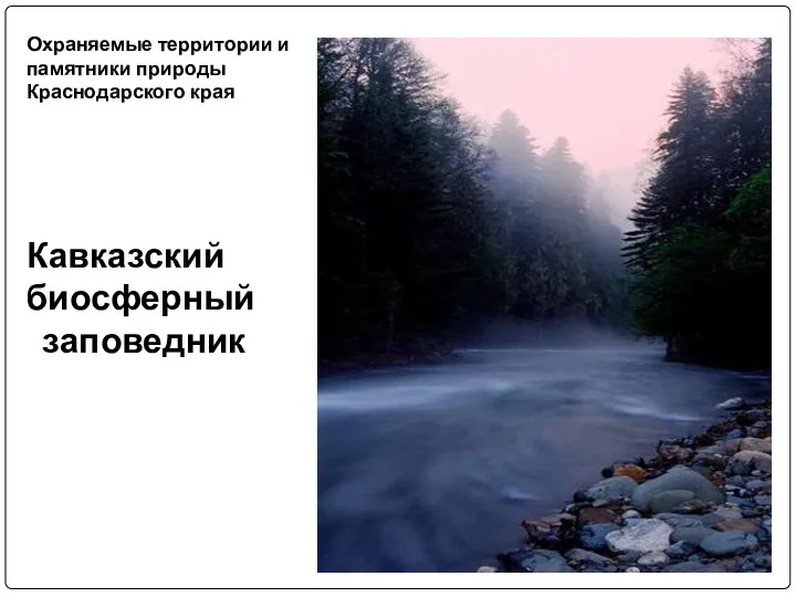 Охраняемые территории и памятники природы Краснодарского края Кавказский биосферный заповедник