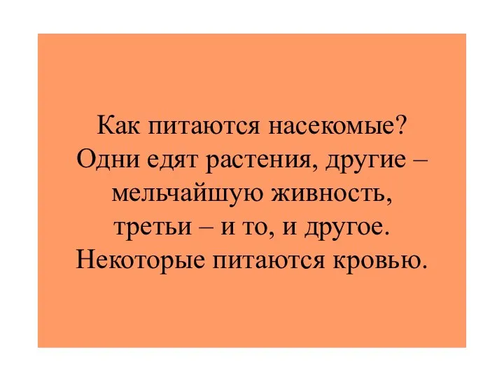 Как питаются насекомые? Одни едят растения, другие – мельчайшую живность, третьи