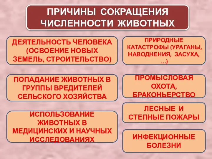 ПРИЧИНЫ СОКРАЩЕНИЯ ЧИСЛЕННОСТИ ЖИВОТНЫХ ДЕЯТЕЛЬНОСТЬ ЧЕЛОВЕКА (ОСВОЕНИЕ НОВЫХ ЗЕМЕЛЬ, СТРОИТЕЛЬСТВО) ПРИРОДНЫЕ