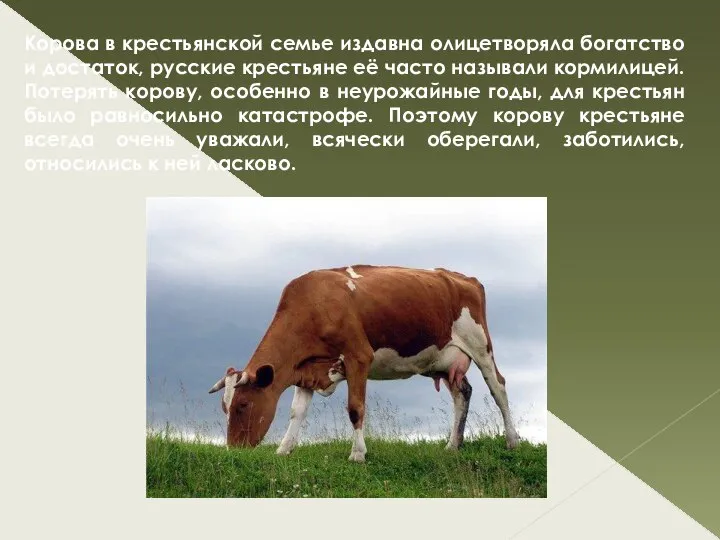 Корова в крестьянской семье издавна олицетворяла богатство и достаток, русские крестьяне