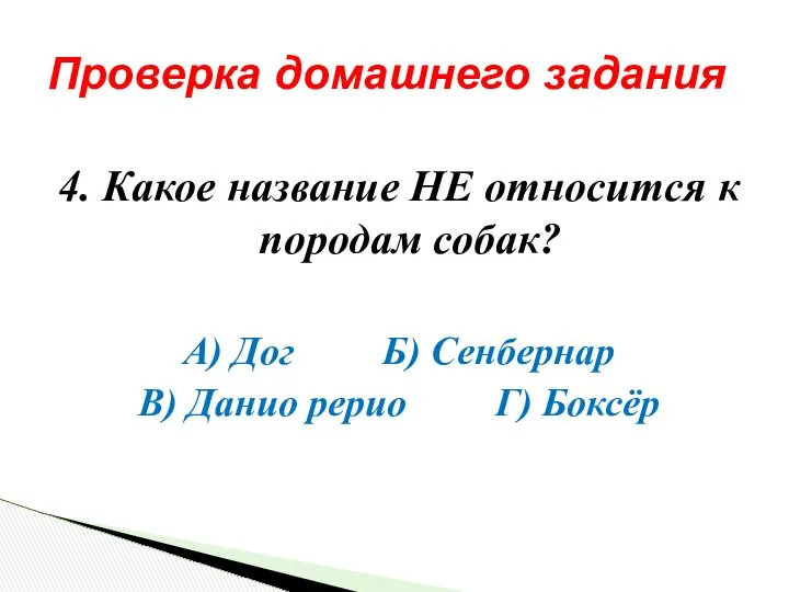 4. Какое название НЕ относится к породам собак? А) Дог Б)