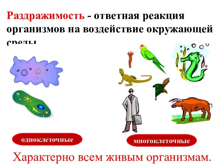 Раздражимость - ответная реакция организмов на воздействие окружающей среды. Характерно всем живым организмам. одноклеточные многоклеточные