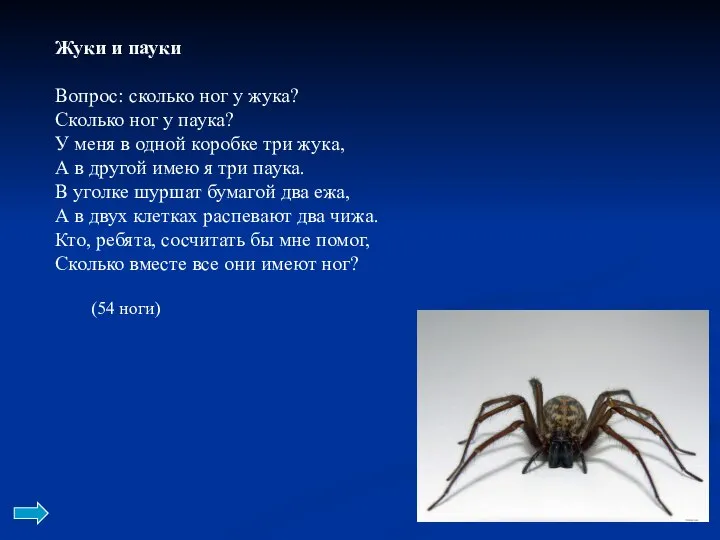 Жуки и пауки Вопрос: сколько ног у жука? Сколько ног у