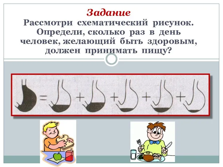 Задание Рассмотри схематический рисунок. Определи, сколько раз в день человек, желающий быть здоровым, должен принимать пищу?