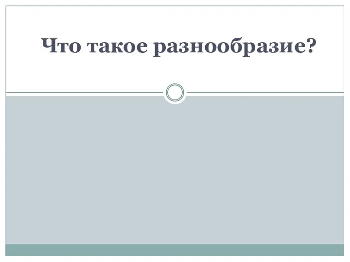 Что такое разнообразие?