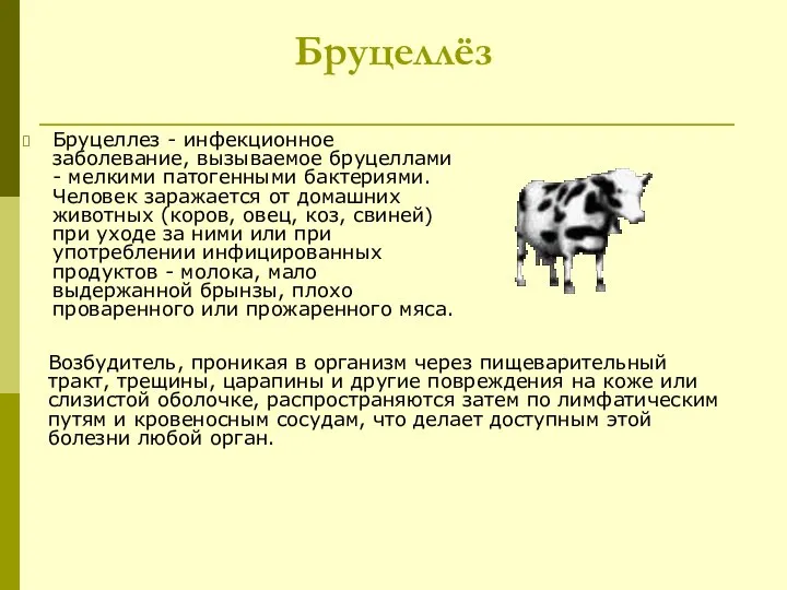 Бруцеллёз Бруцеллез - инфекционное заболевание, вызываемое бруцеллами - мелкими патогенными бактериями.