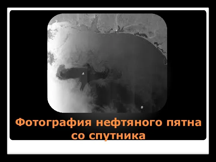 Фотография нефтяного пятна со спутника