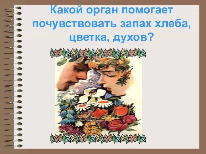 Какой орган помогает почувствовать запах хлеба, цветка, духов?