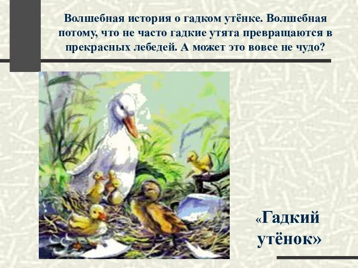 Волшебная история о гадком утёнке. Волшебная потому, что не часто гадкие