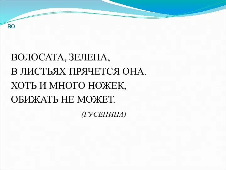 во ВОЛОСАТА, ЗЕЛЕНА, В ЛИСТЬЯХ ПРЯЧЕТСЯ ОНА. ХОТЬ И МНОГО НОЖЕК, ОБИЖАТЬ НЕ МОЖЕТ. (ГУСЕНИЦА)