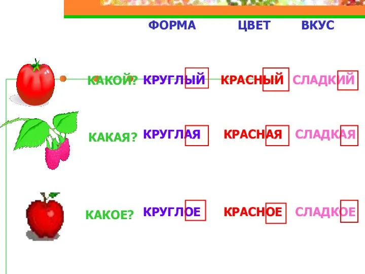 ФОРМА ВКУС КАКОЙ? КАКАЯ? КАКОЕ? КРАСНЫЙ КРАСНАЯ КРАСНОЕ ЦВЕТ КРУГЛЫЙ КРУГЛАЯ КРУГЛОЕ СЛАДКИЙ СЛАДКАЯ СЛАДКОЕ