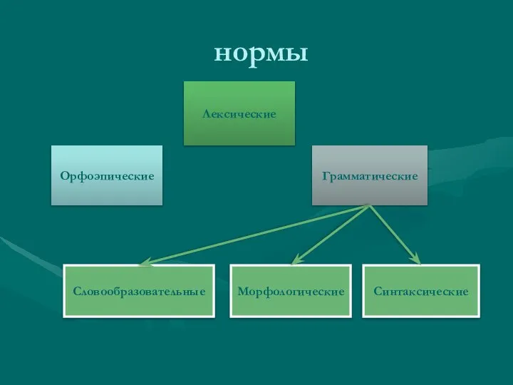 нормы Орфоэпические Лексические Грамматические Словообразовательные Морфологические Синтаксические