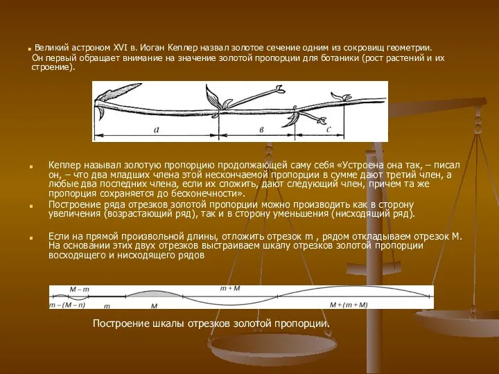 Кеплер называл золотую пропорцию продолжающей саму себя «Устроена она так, –