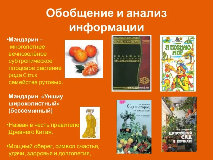 Обобщение и анализ информации Мандарин – многолетнее вечнозелёное субтропическое плодовое растение