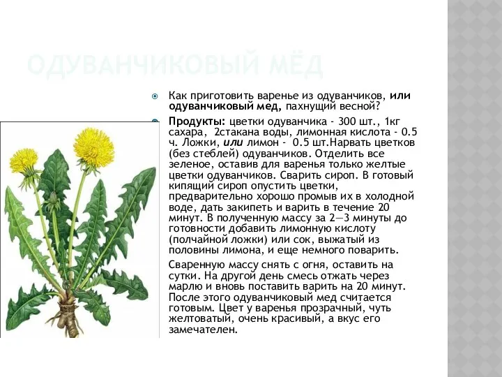 ОДУВАНЧИКОВЫЙ МЁД Как приготовить варенье из одуванчиков, или одуванчиковый мед, пахнущий