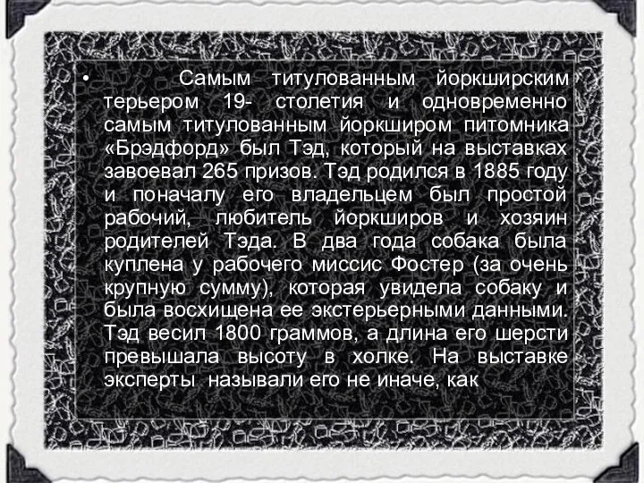 Самым титулованным йоркширским терьером 19- столетия и одновременно самым титулованным йоркширом